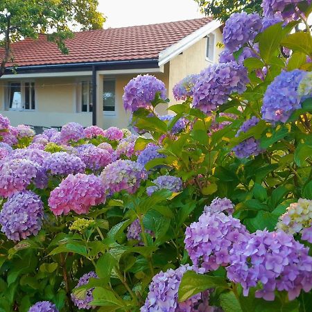 Cvjetni Apartmani Cetinje Eksteriør bilde