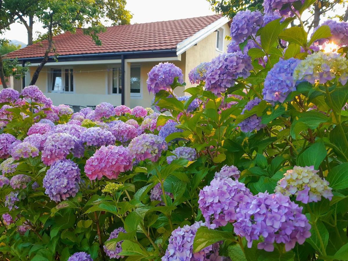 Cvjetni Apartmani Cetinje Eksteriør bilde