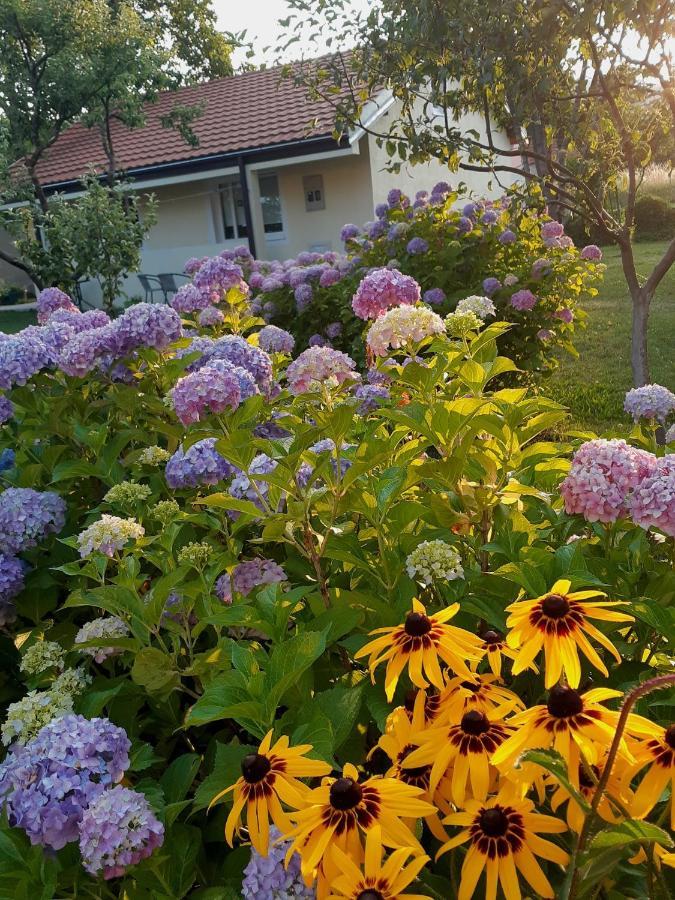 Cvjetni Apartmani Cetinje Eksteriør bilde