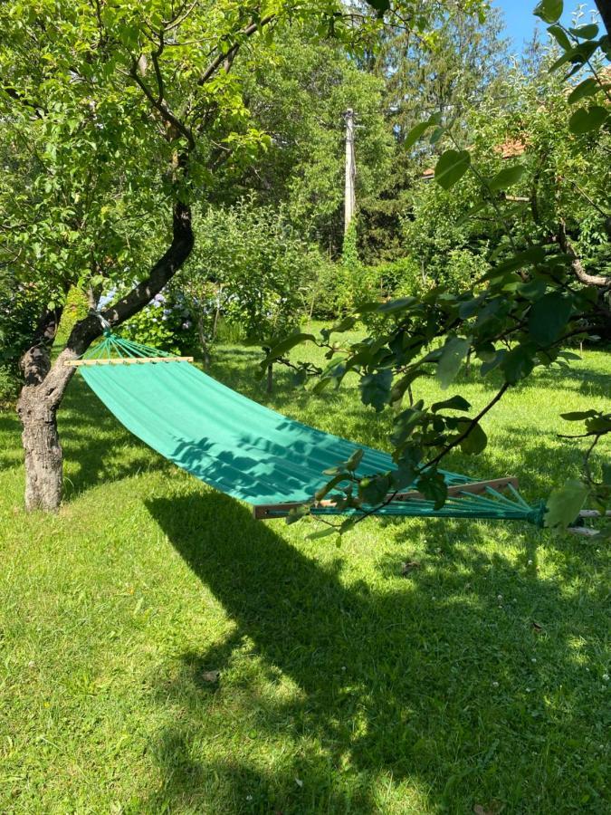 Cvjetni Apartmani Cetinje Eksteriør bilde