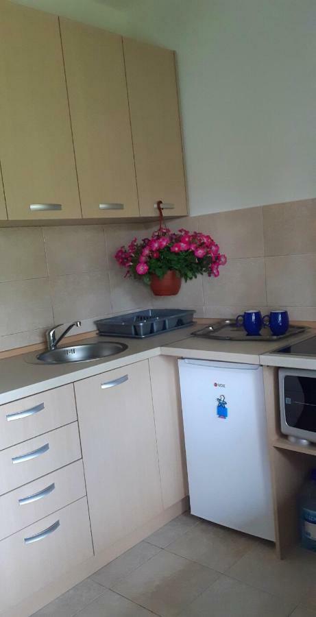 Cvjetni Apartmani Cetinje Eksteriør bilde